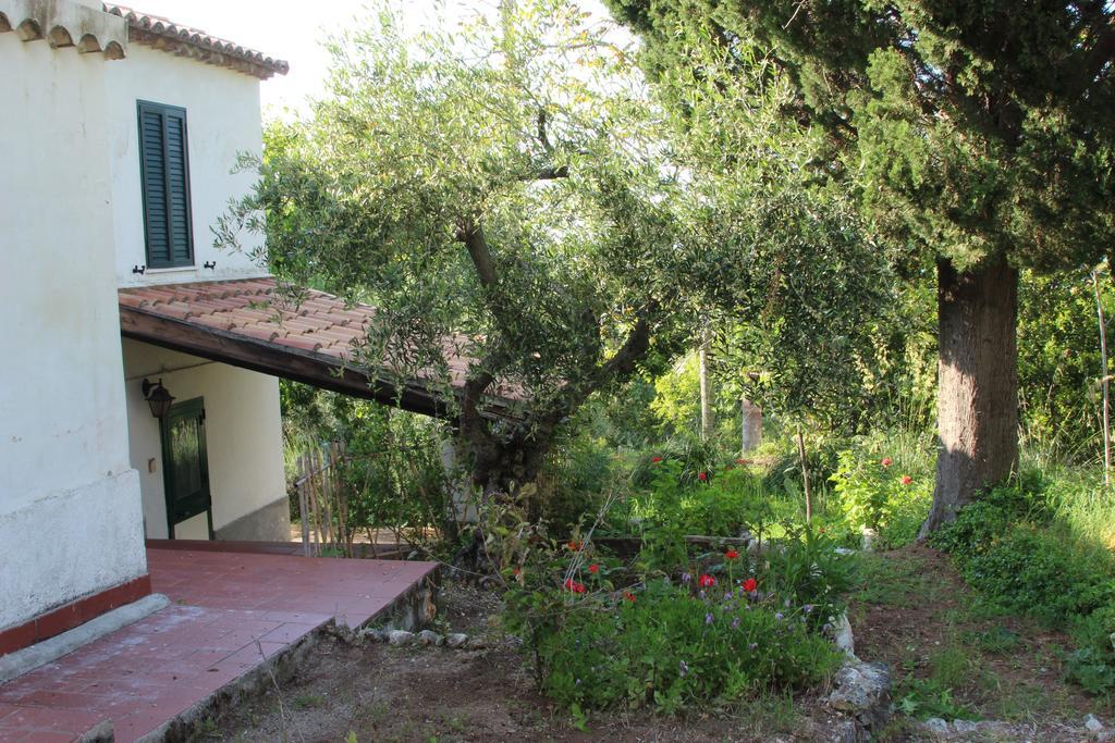Tenuta Conte Ruggero Santa Domenica  Camera foto
